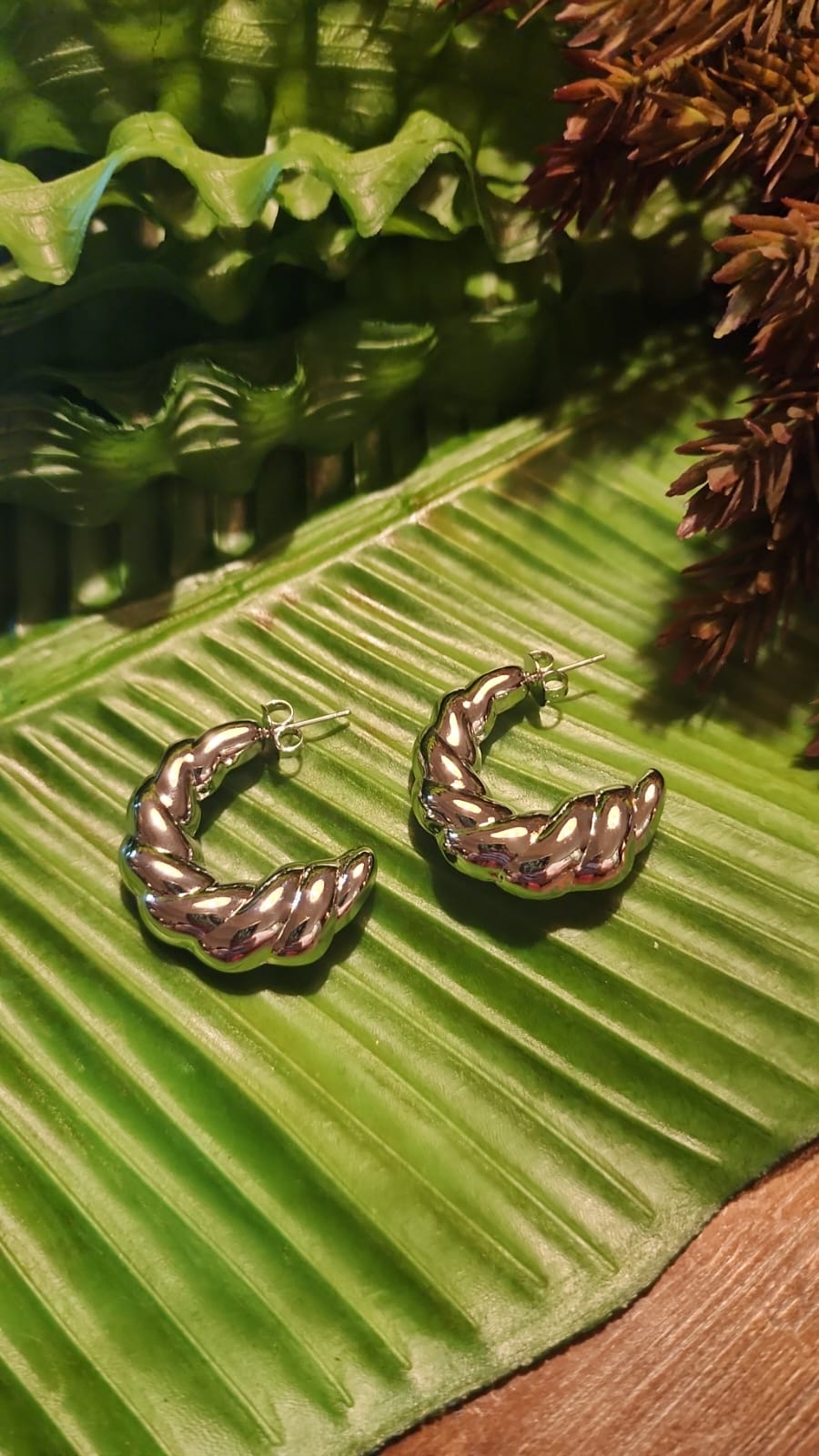 Argola Croissaint Prata